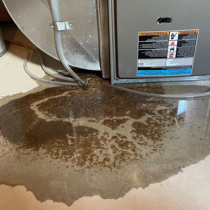 Pipe Burst and Leak Restoration in Stillwater, OK